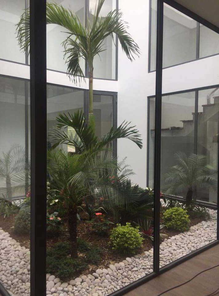 Interior garden courtyard